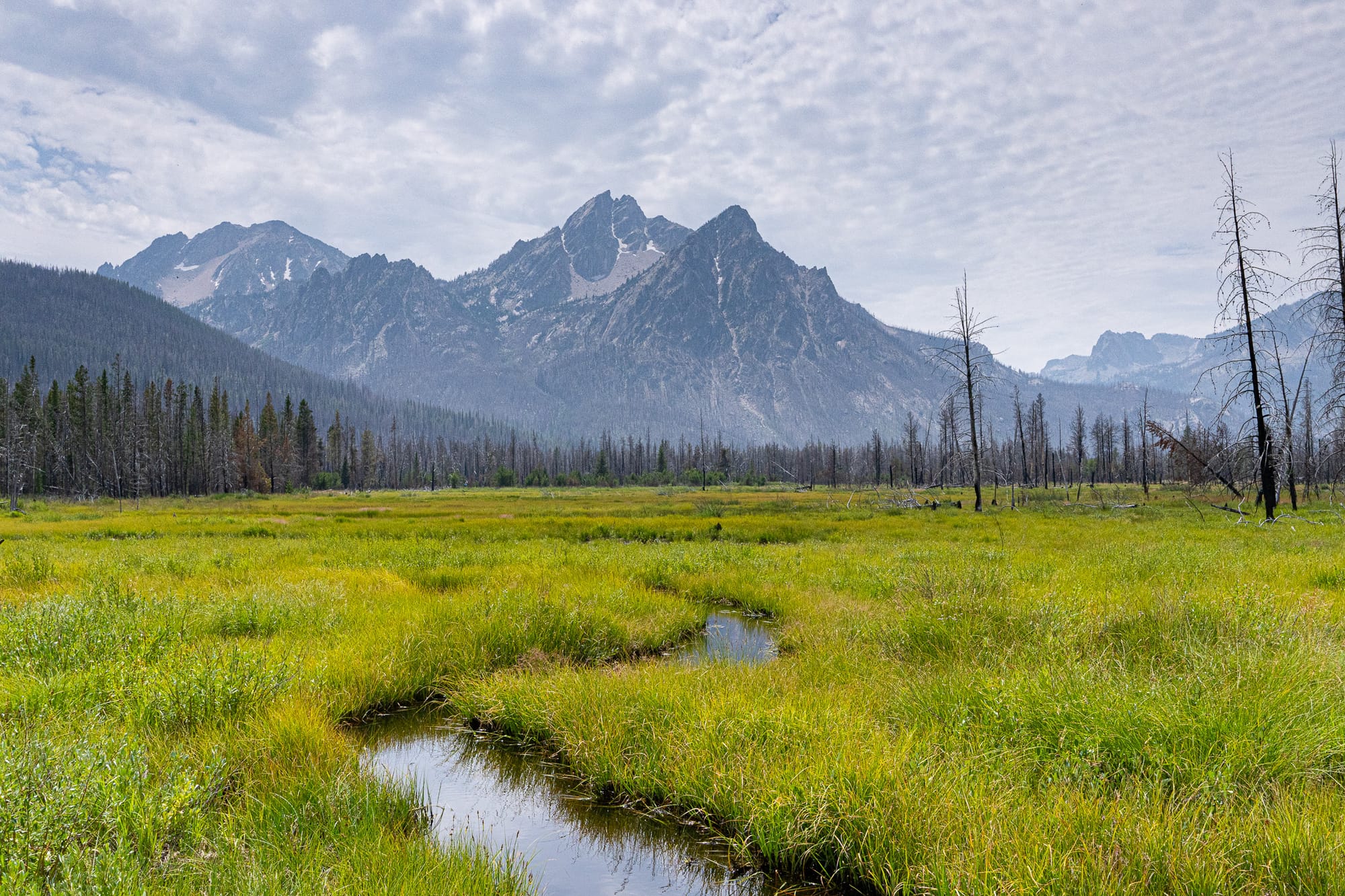 meadow and peaks