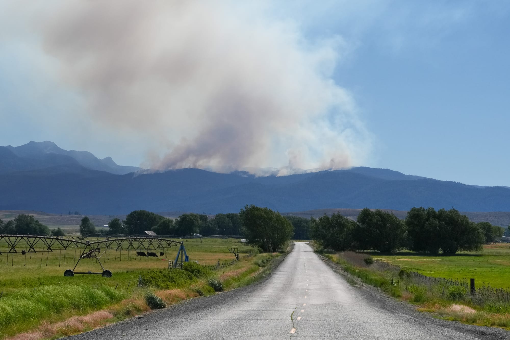 distant wildfire