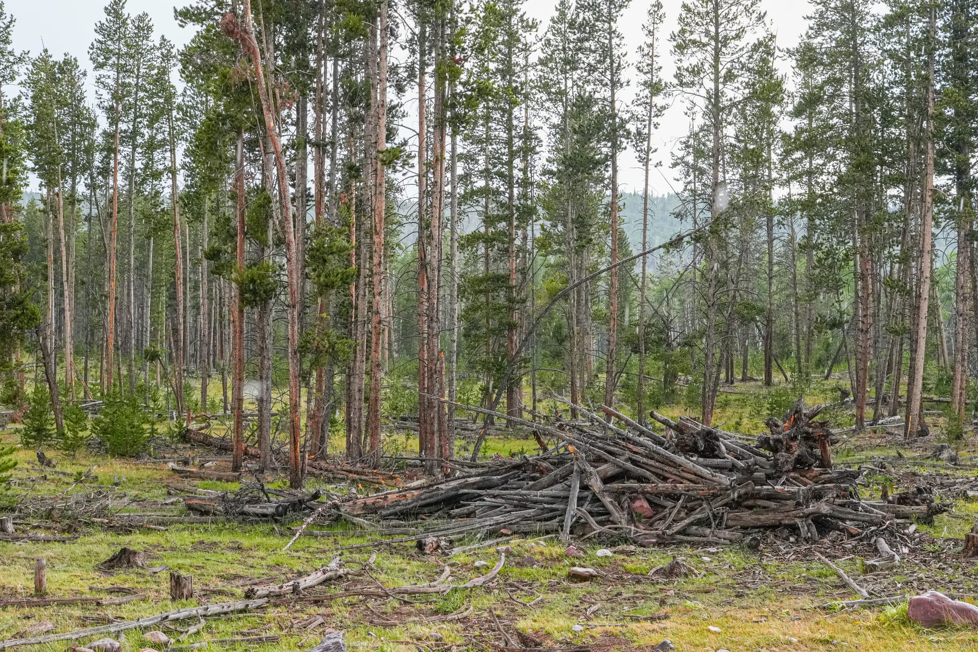 logging operation