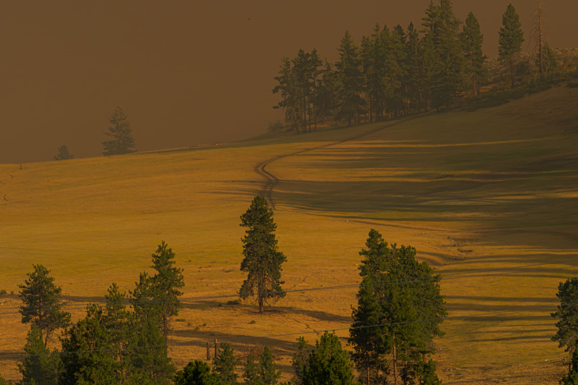 wildfire smoke