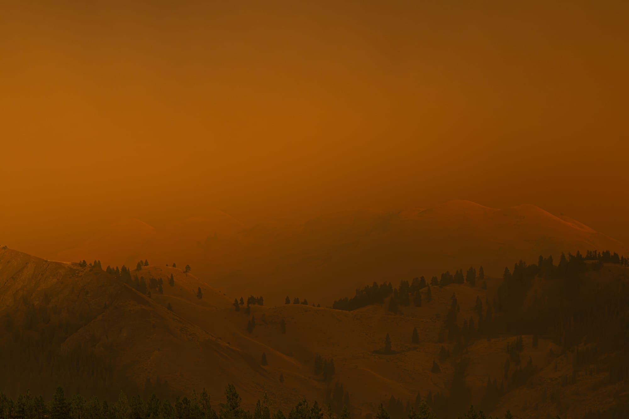 wildfire smoke