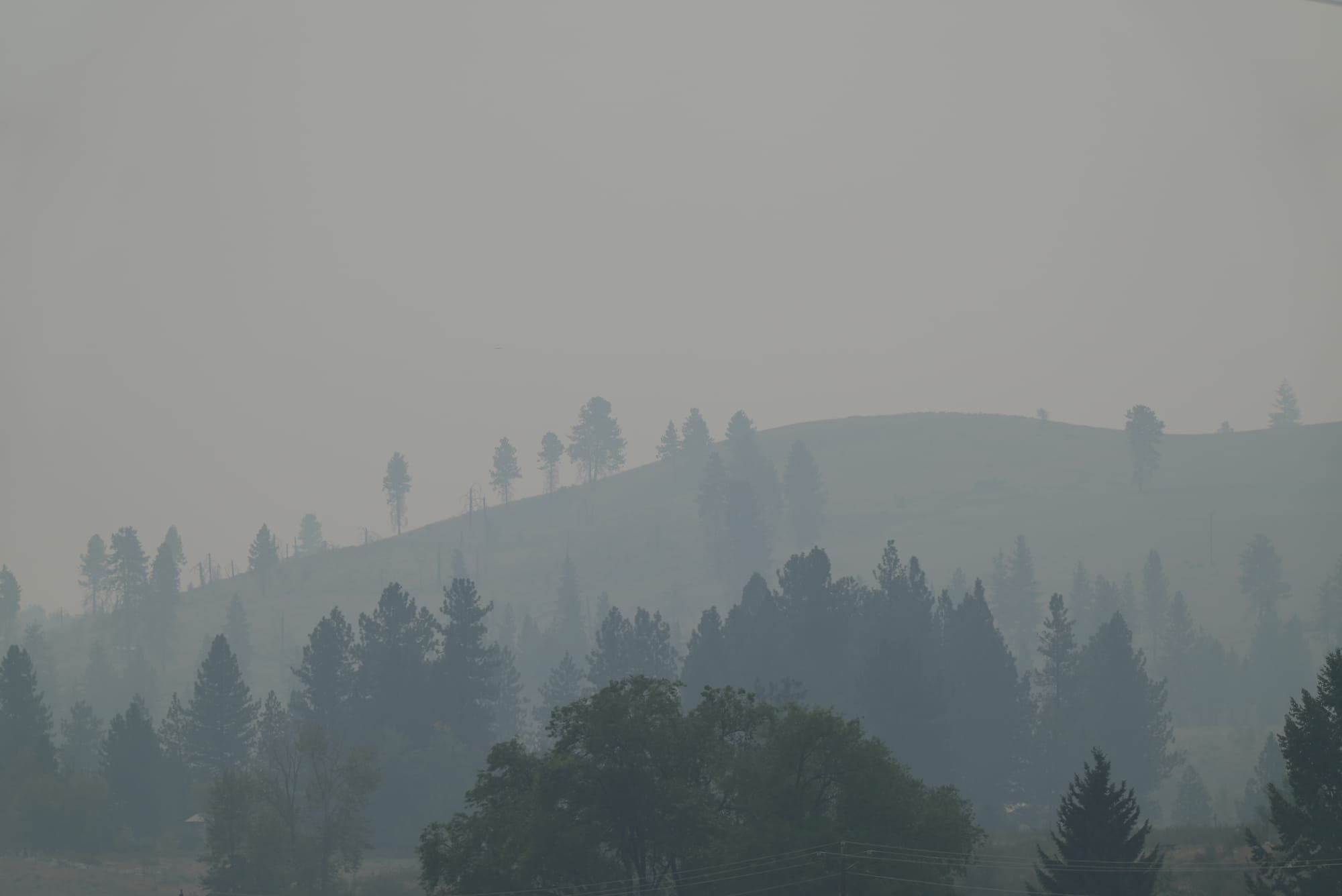 wildfire smoke
