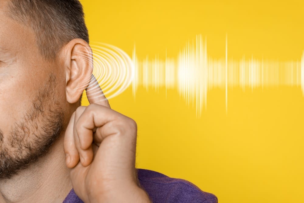 human ear