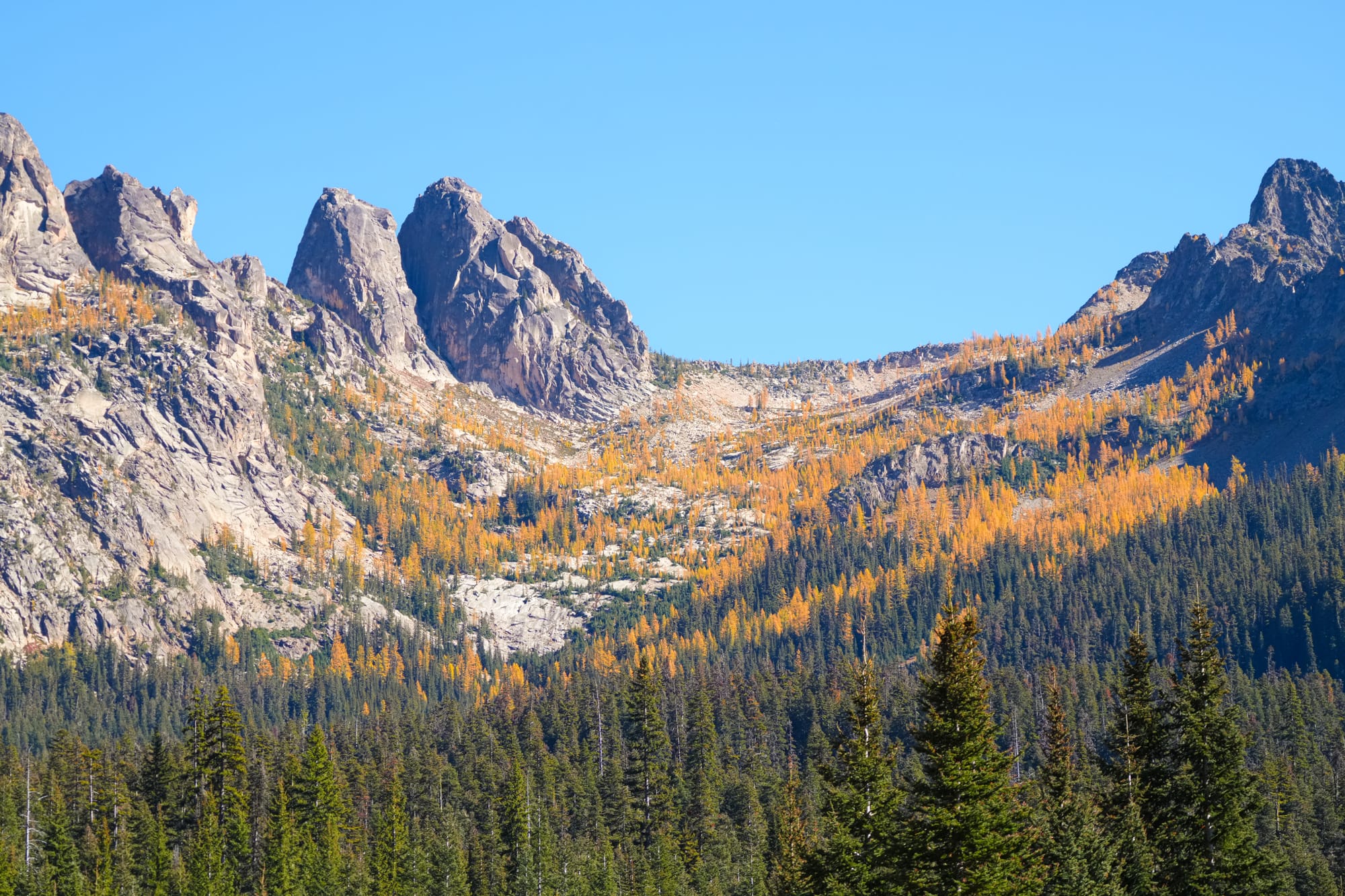 fall colors