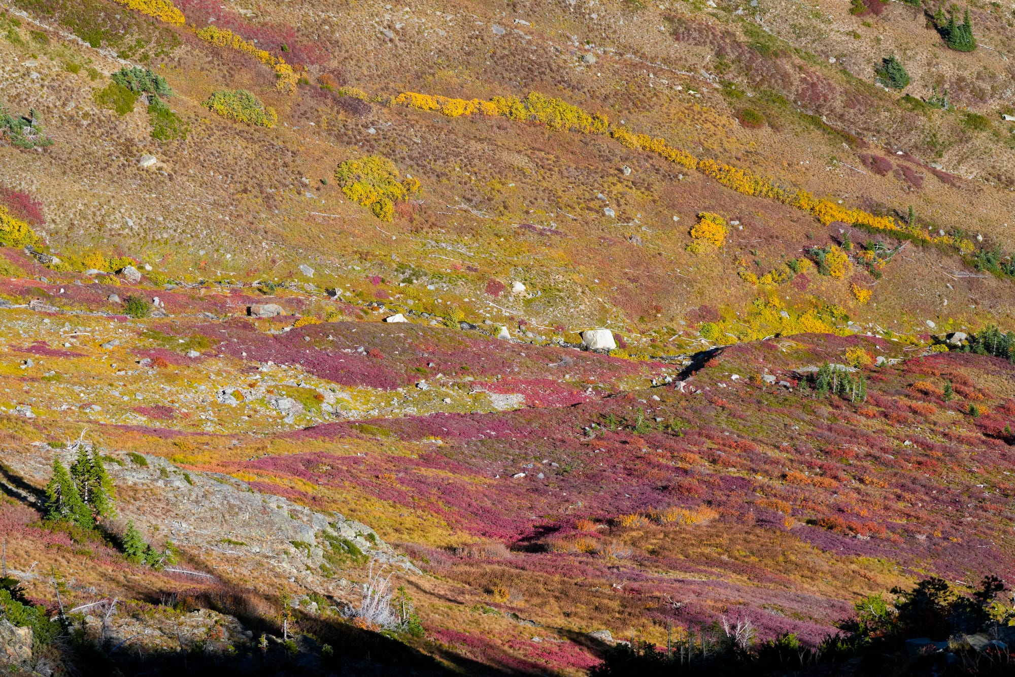 fall colors