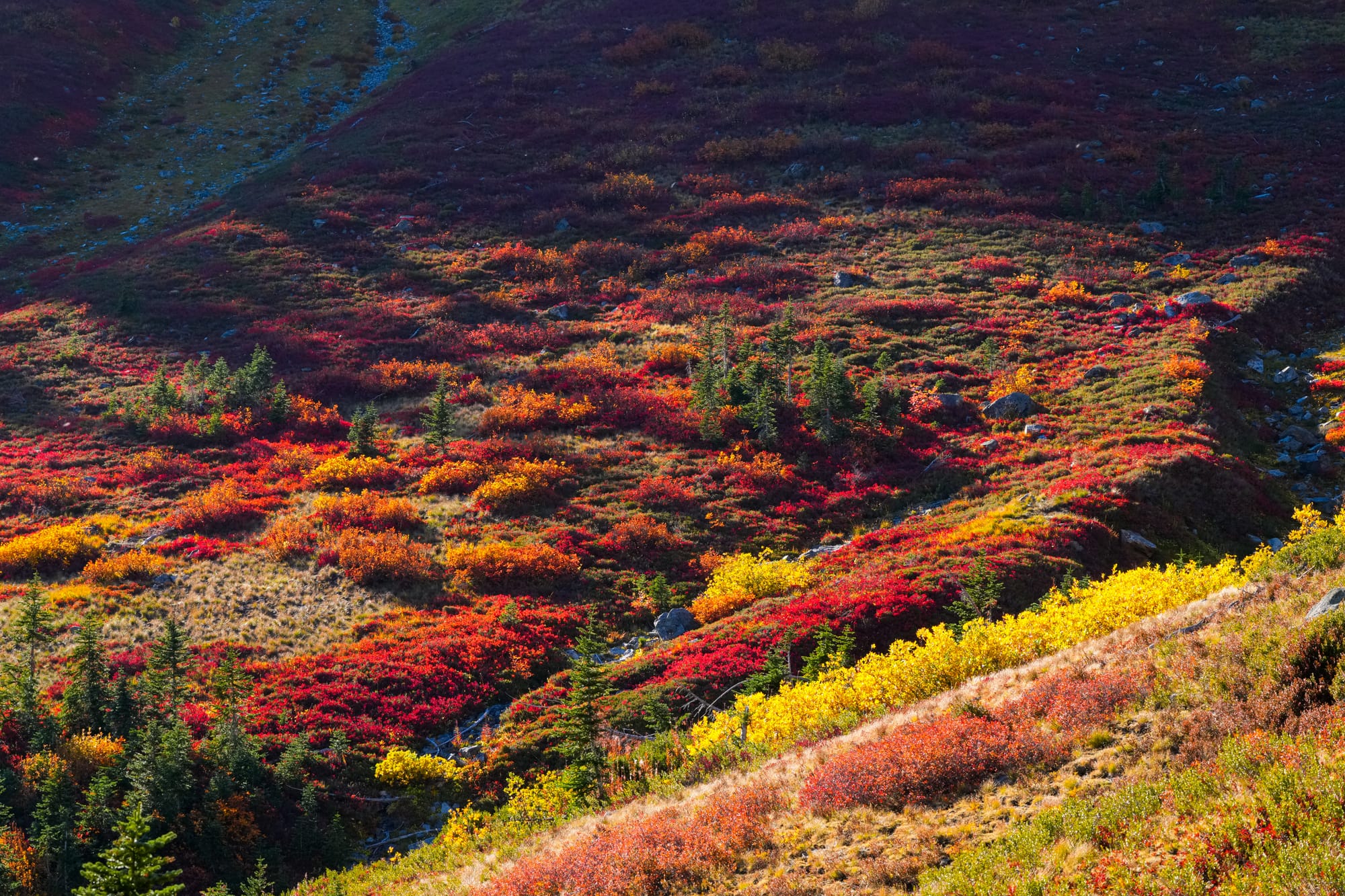 fall colors