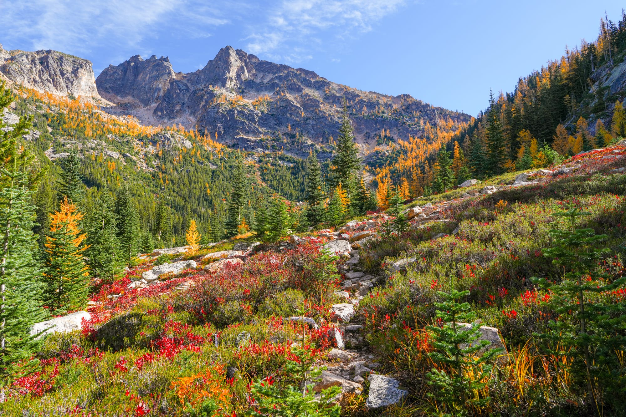 fall colors