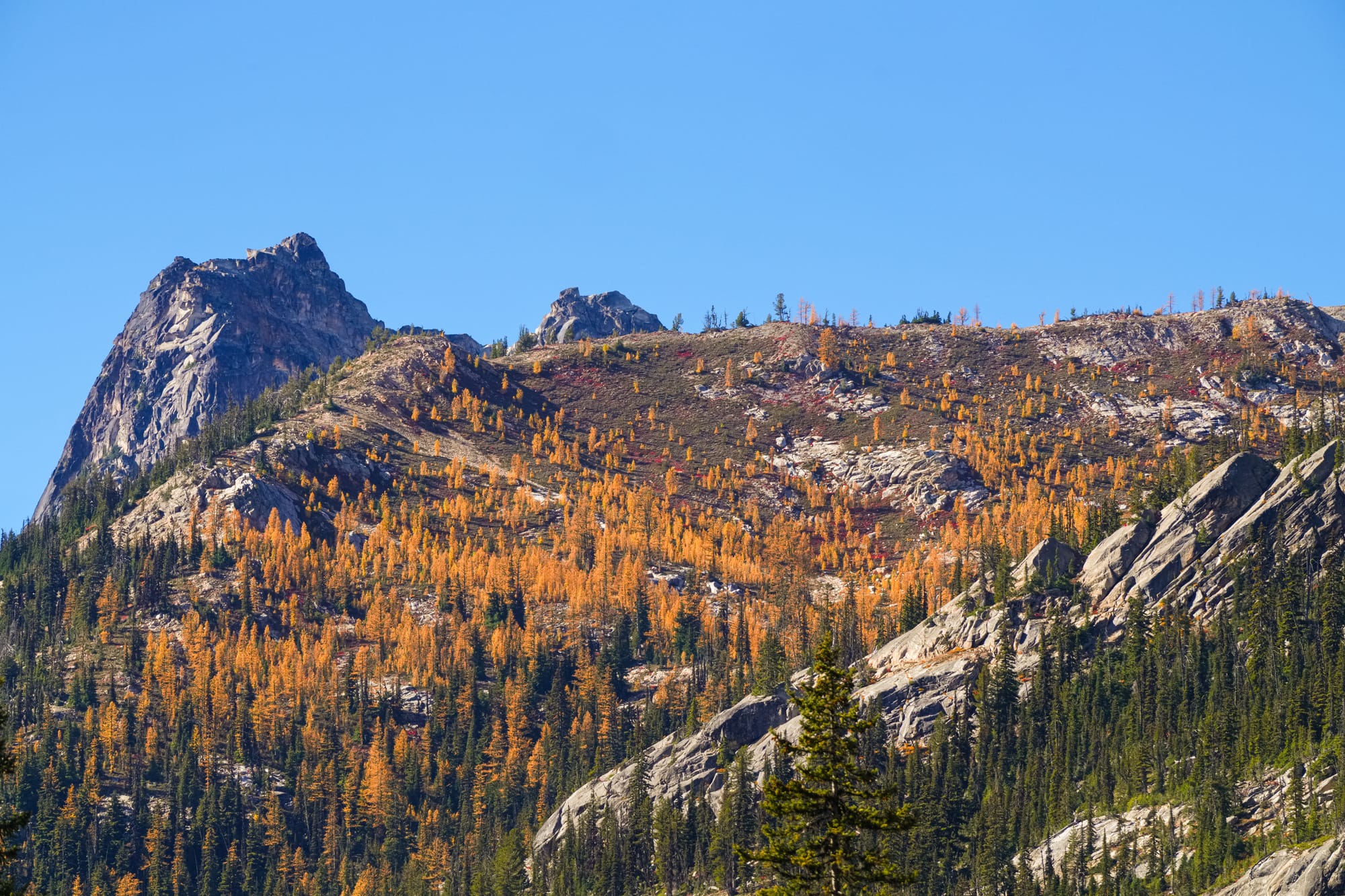 fall colors