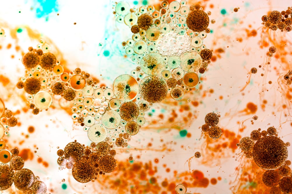 bacteria and microbes