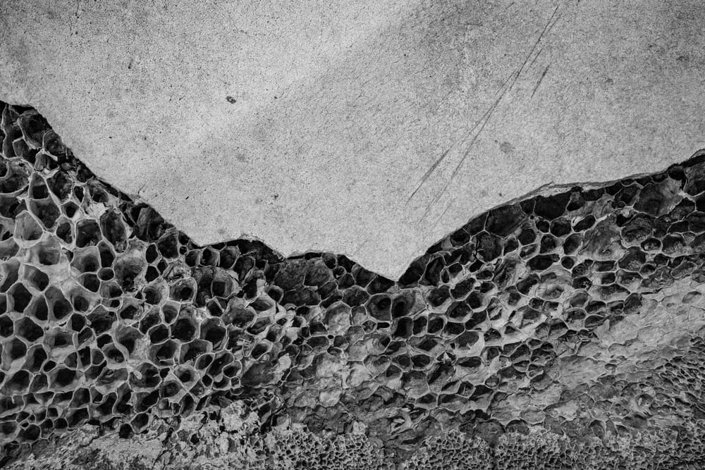 whale bone
