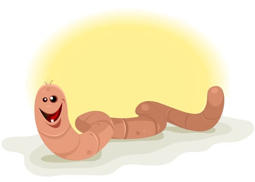 earthworm graphic
