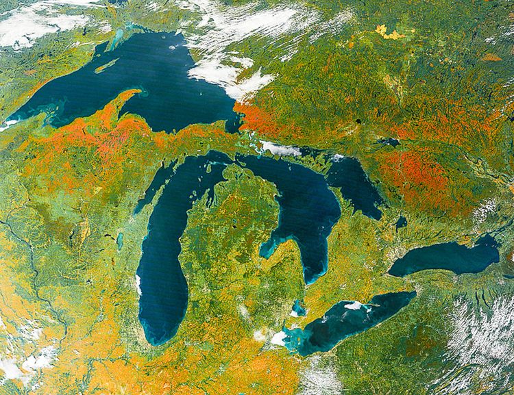 Autumn Colors and Aphids