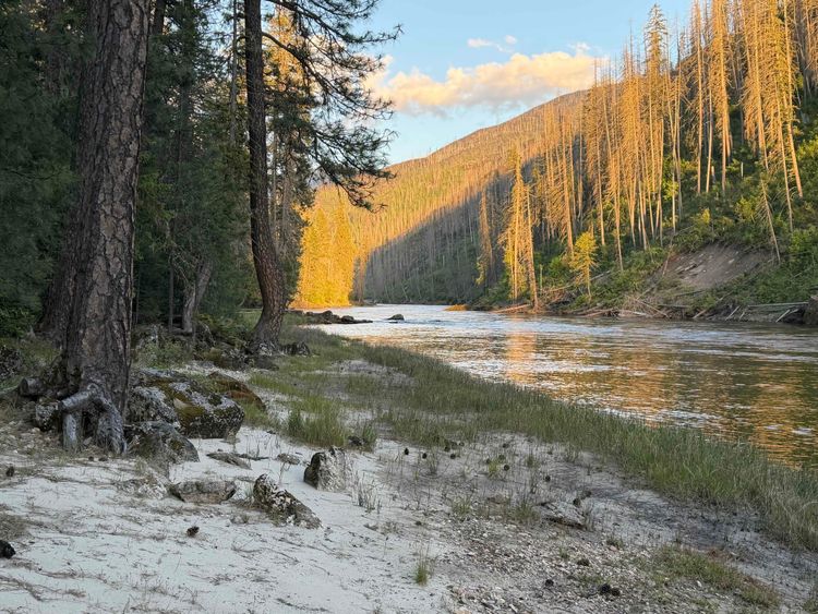 Selway River