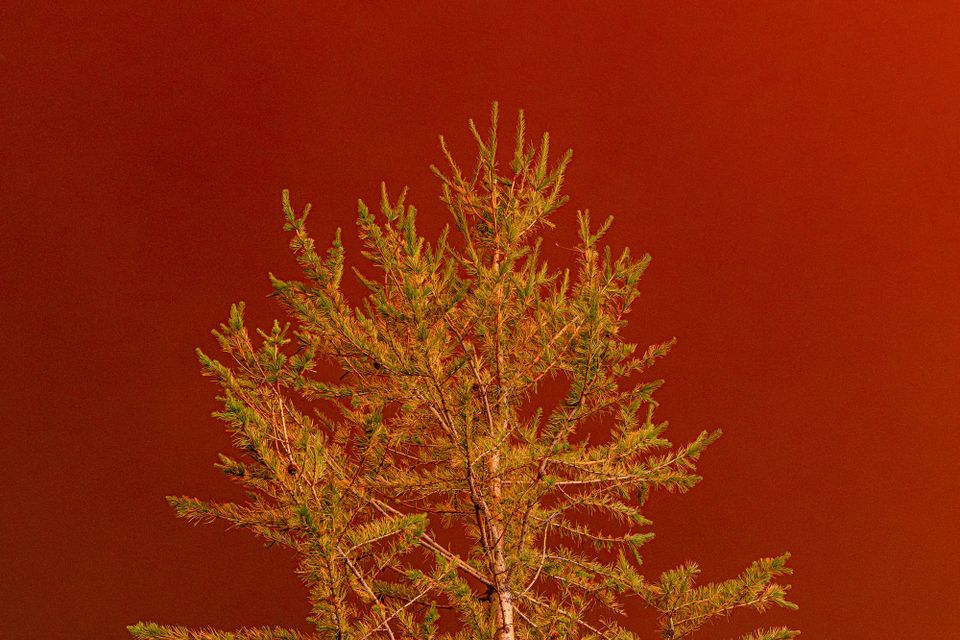 wildfire smoke at sunset