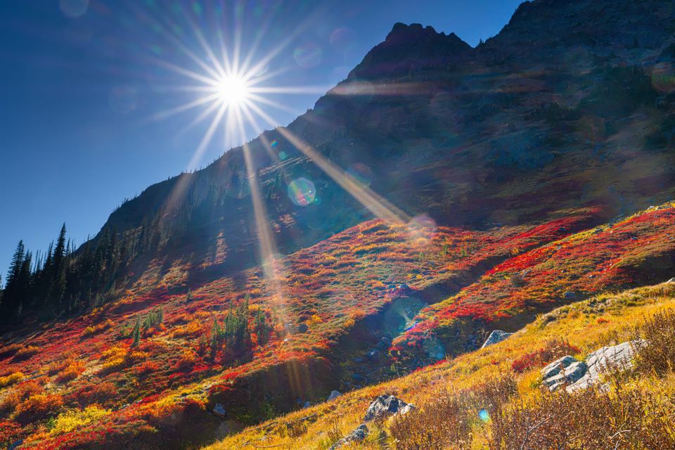 fall colors