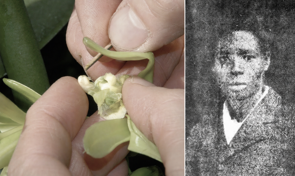 Edmond Albius: The Boy Who Made Vanilla Possible