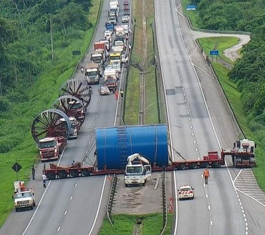 Com projetos internacionais de grande porte, indústria de celulose dá exemplo de planejamento durante pandemia