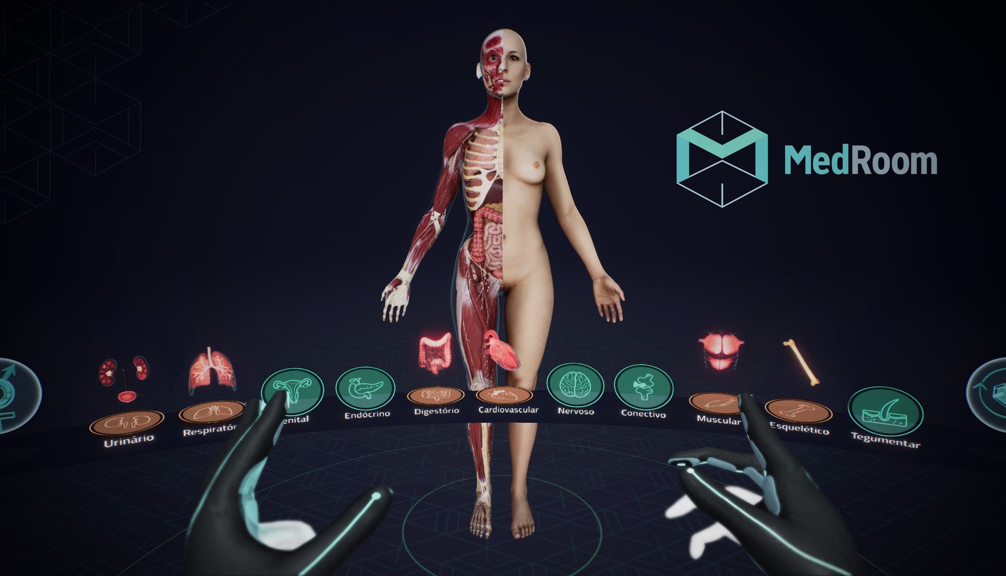 MedRoom trabalha com modelagem 3D nas universidades para evitar erros médicos
