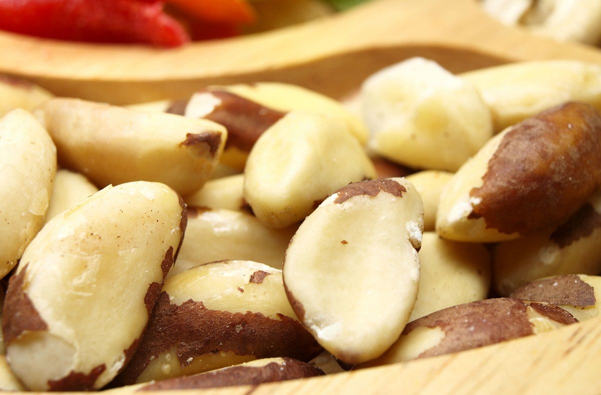 Jasmine Alimentos assina acordo de cooperação para melhorar condições de trabalho na cadeia produtiva da castanha-do-pará