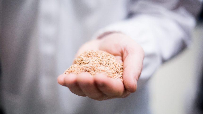 Consumo de fibras alimentares por brasileiros é inferior ao indicado pela OMS