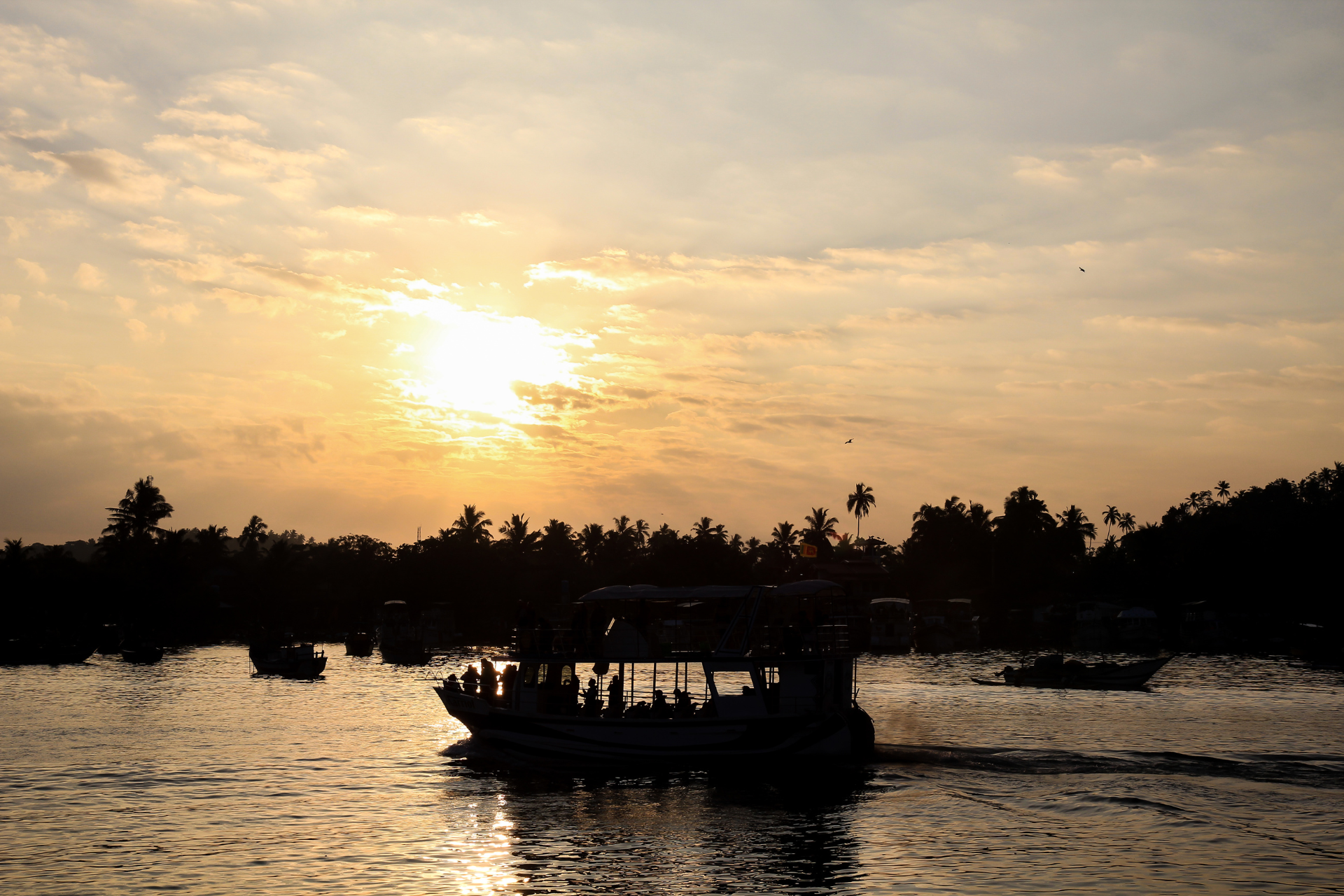 A boat heading out on a whale watching tour in Mirissa, Sri Lanka