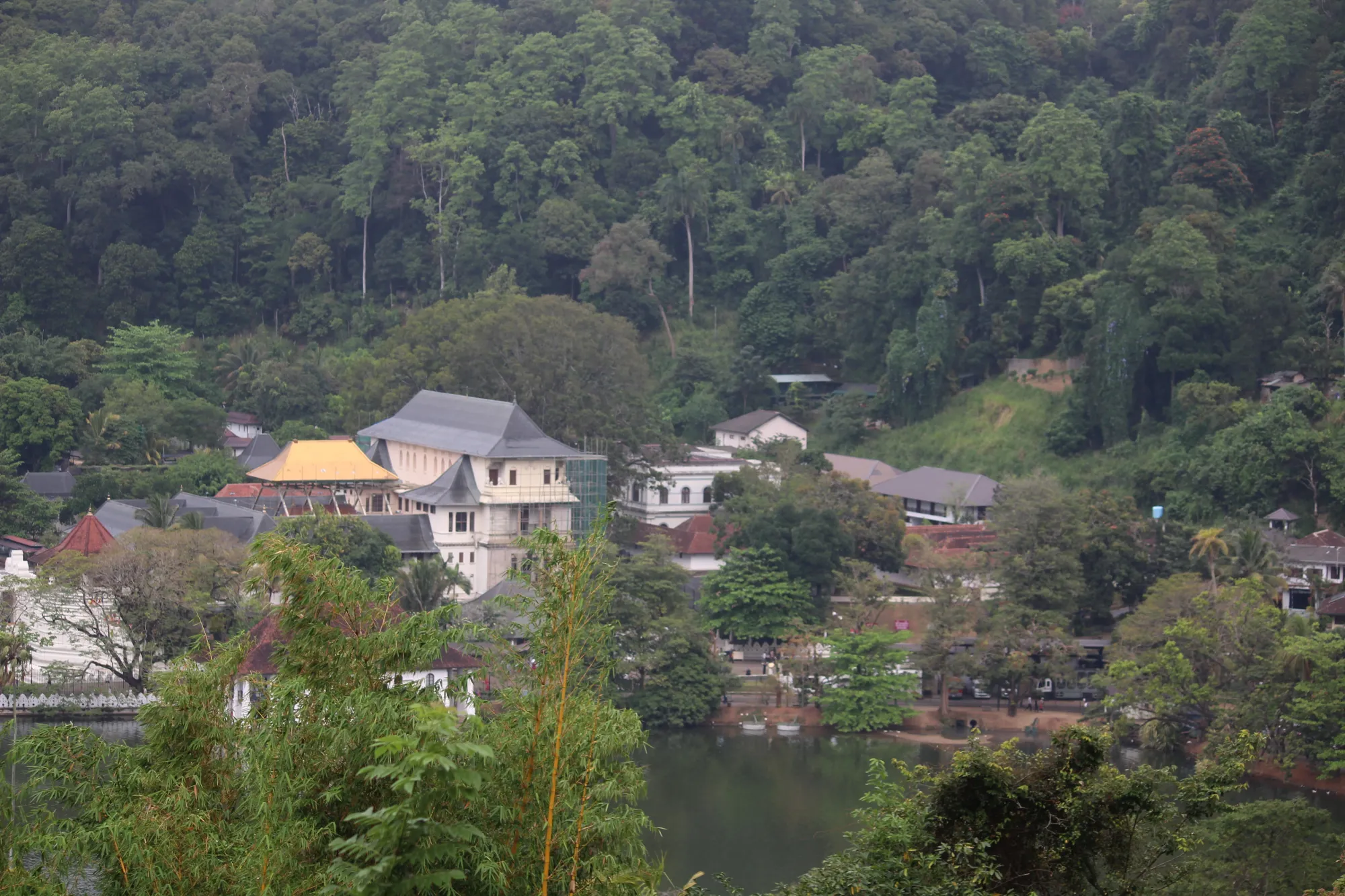Udawattakele Sanctuary in Kandy, Sri Lanka, seen behind the Dalada Maligawa.