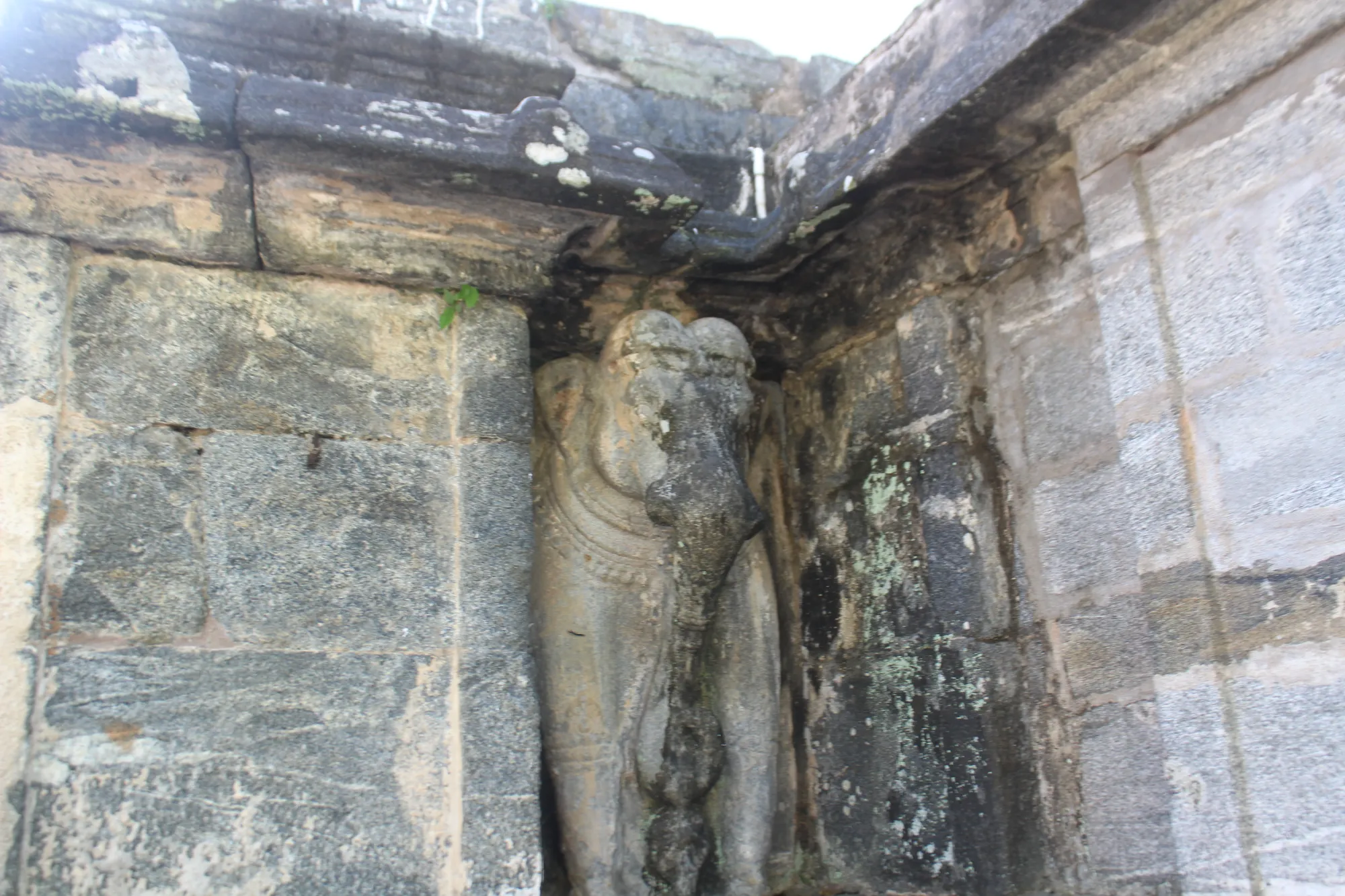 Stone carving of an elephant at Gadaladeniya Temple, Sri Lanka