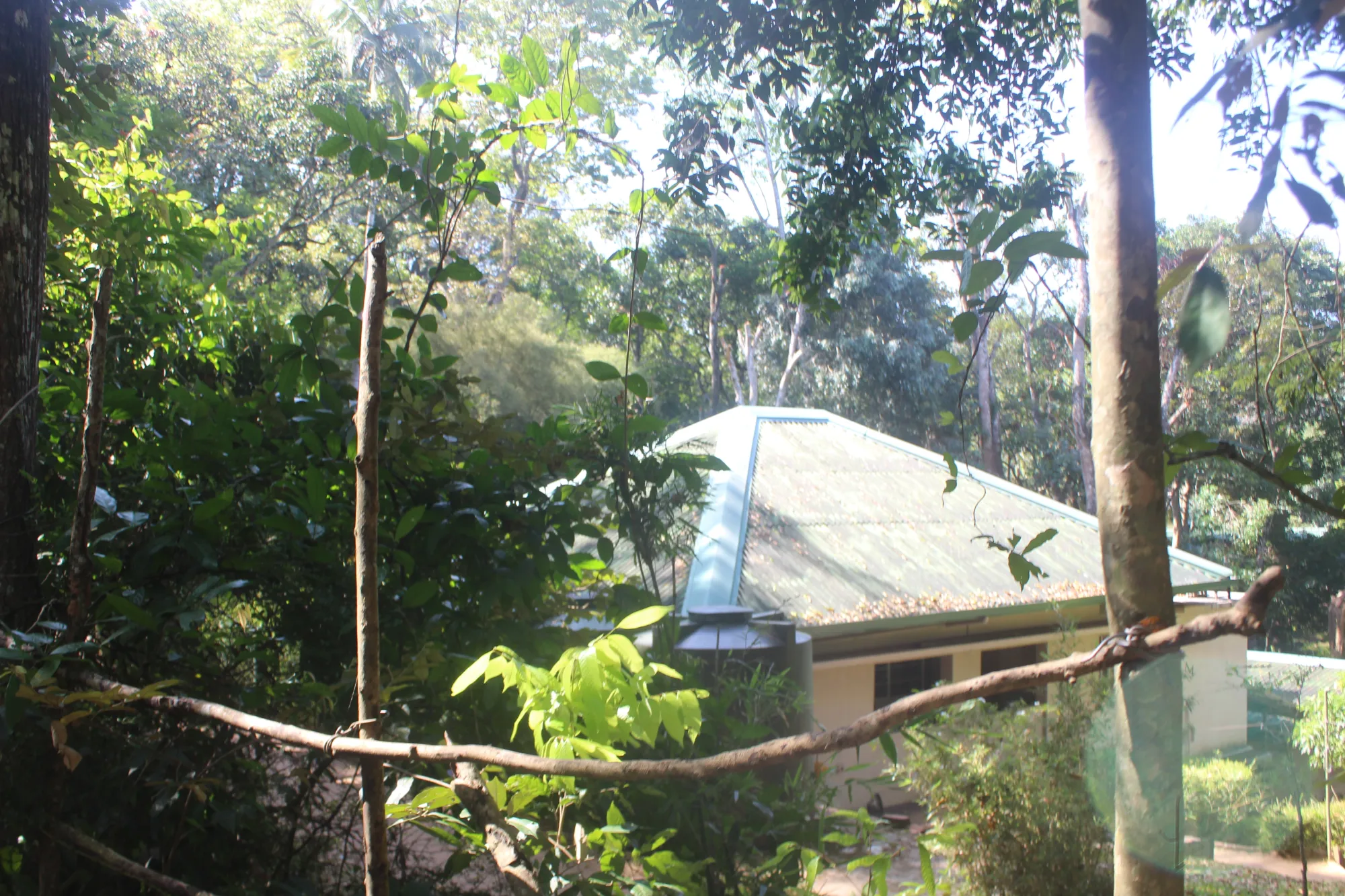 Senanayaka Aramaya, a hermitage at the Udawattakele Sanctuary in Kandy, Sri Lanka.