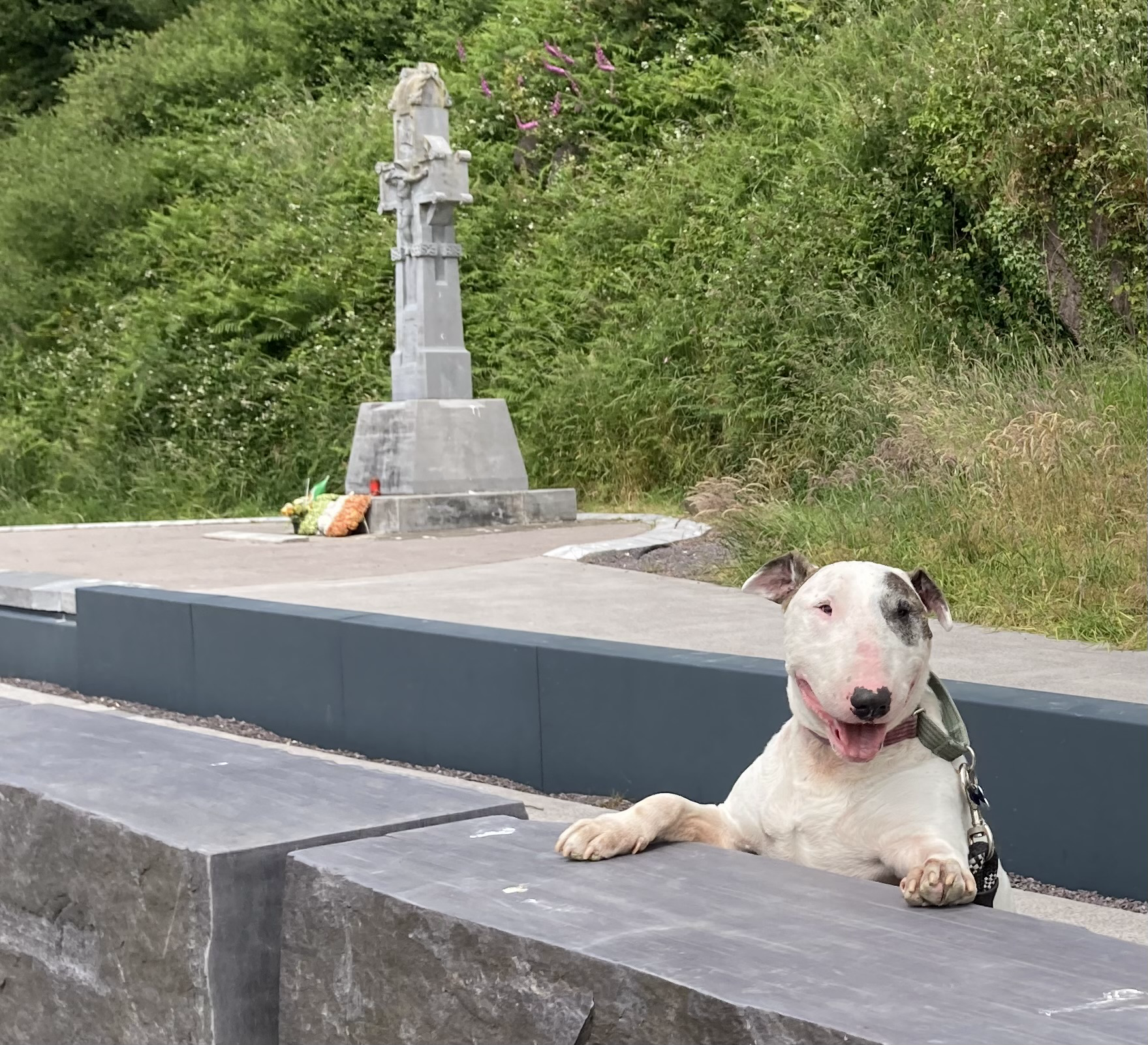 Michael Collins Ambush Site at Béal na Bláth