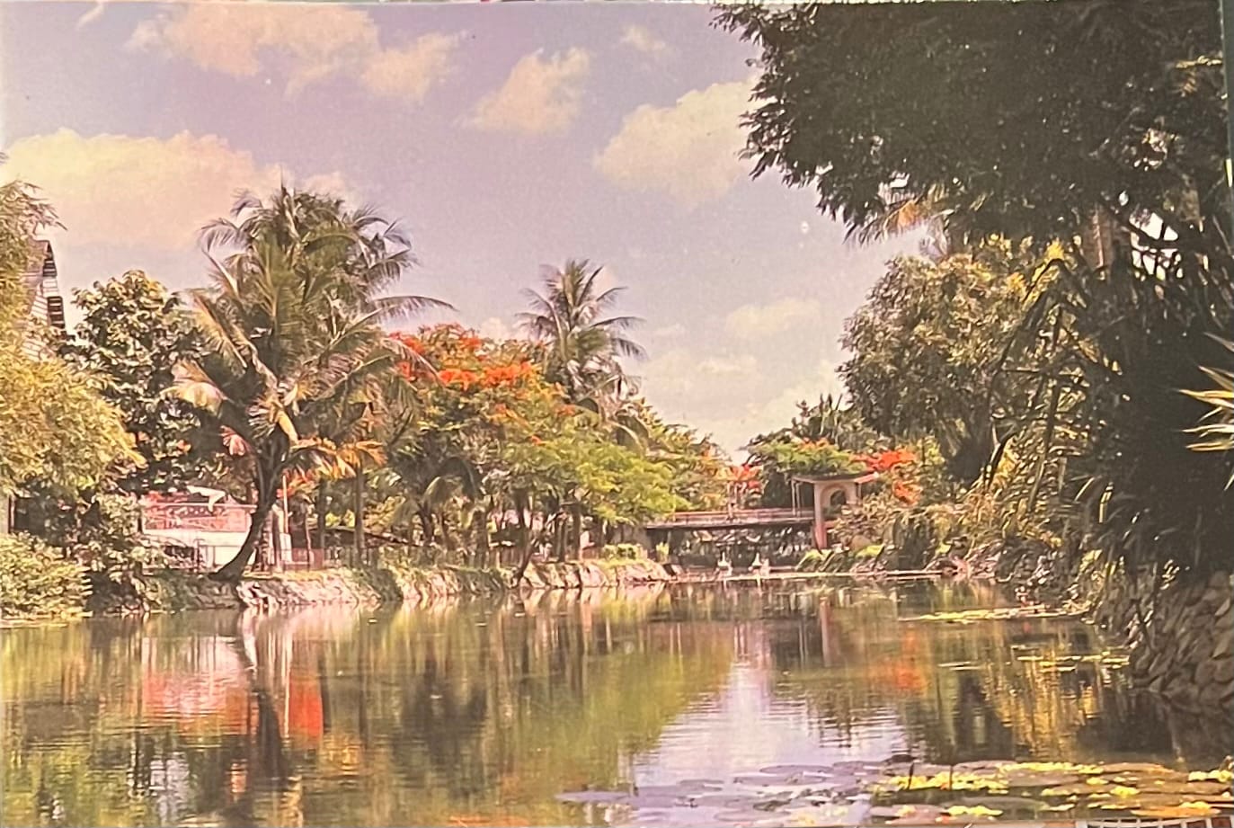 This image is a postcard depicting a serene scene along one of the many canals or rivers in Ho Chi Minh City, Vietnam, likely within the city’s outskirts or a nearby area in the Mekong Delta region. The image features a calm waterway reflecting the sky and surrounding greenery, with palm trees, flame trees and other tropical vegetation lining the banks. The Saigon River, where my hotel was located, is part of the broader network of waterways that connect the city to the Mekong Delta (April 30, 1995)