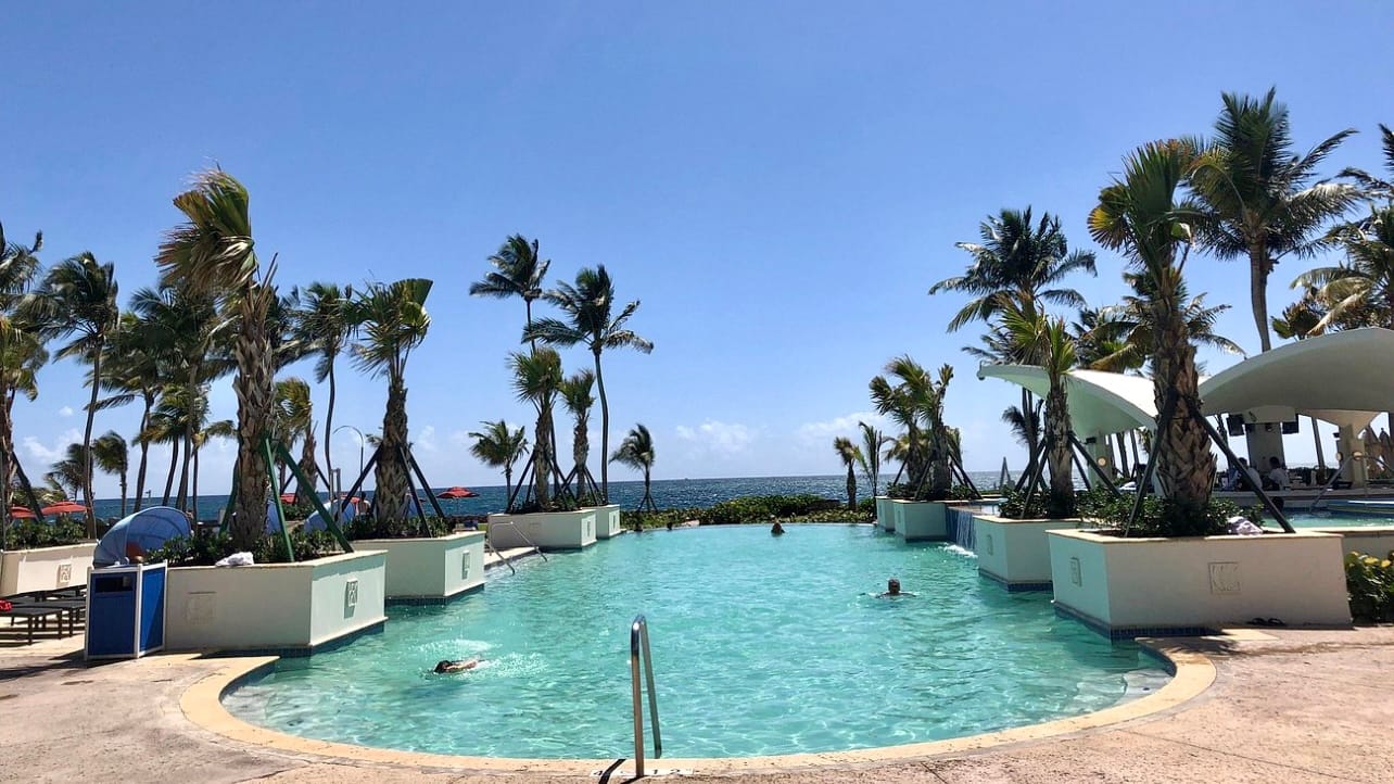 TripAdvisor: swimming in the pool at the El Caribe Hilton