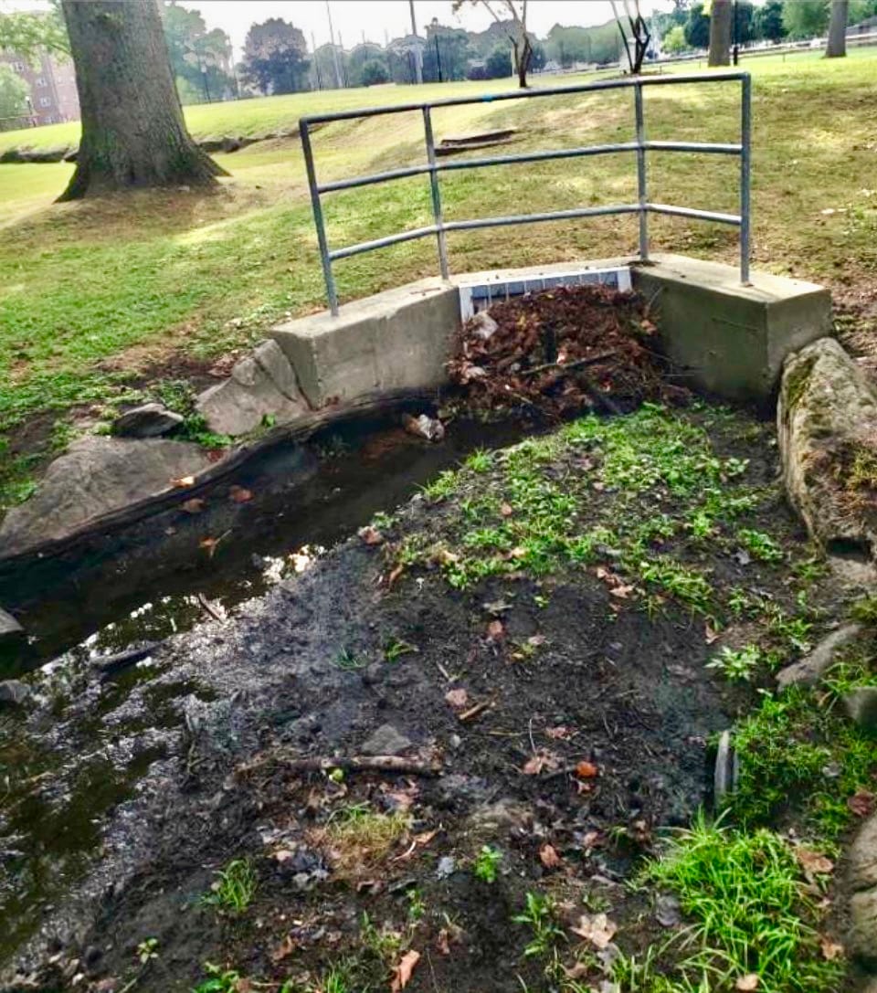 City Park Grate 226 at Flowers Park