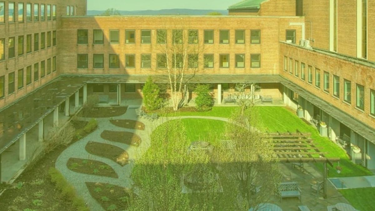 Why is New Rochelle Firing Teachers While Spending Millions on Illegal Private School Placements?
