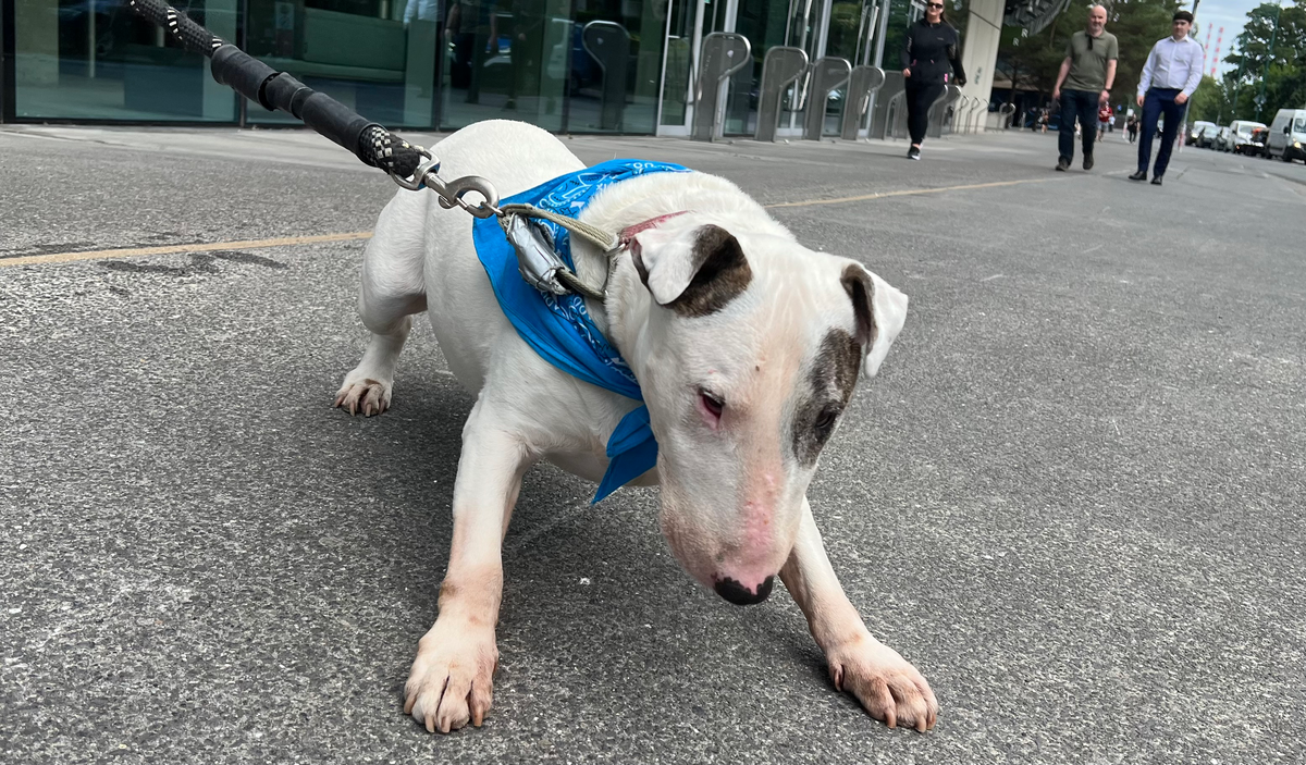 Recommended Reading, June 22, 2025