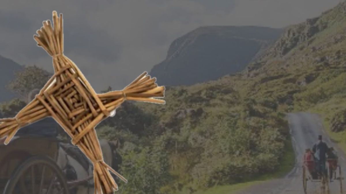 Words in Edgewise News Roundup - February 1, 2026