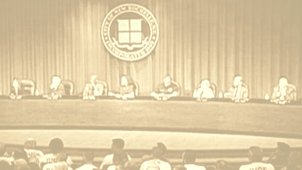 New Rochelle DOZ Debate: Comments Most Likely to Matter in Court Not the Loudest Ones