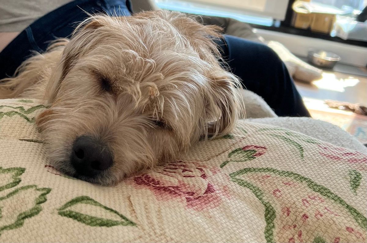 Recommended Reading: Talk of the Sound