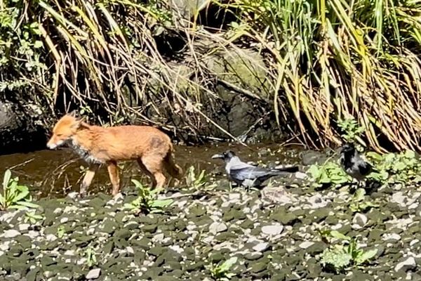 Recommended Reading, April 27, 2025