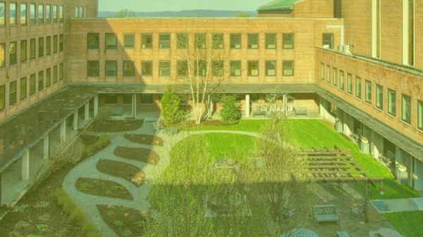 Why is New Rochelle Firing Teachers While Spending Millions on Illegal Private School Placements?