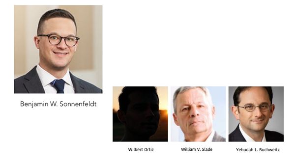 More Whinging from New Rochelle Ethics Board Lawyer Benjamin W. Sonnenfeldt