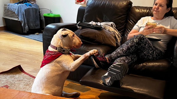 Recommended Reading, August 10, 2025