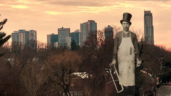 Butcher’s Bill Comes Due for New Rochelle Democrats