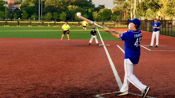 New Rochelle Looks to Put Flowers Park Under Control of a Master Developer