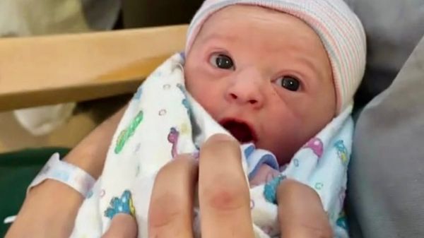 Words in Edgewise News Roundup - February 8, 2026