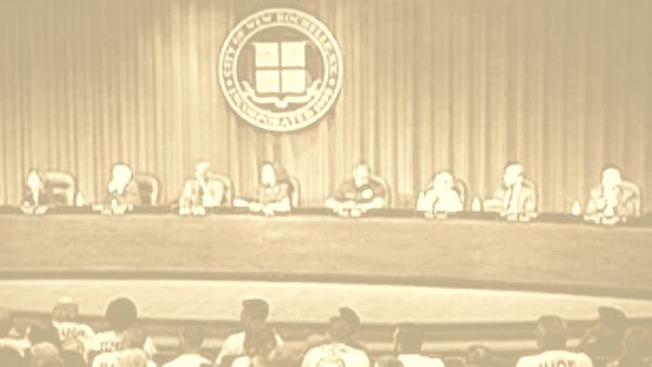 New Rochelle DOZ Debate: Comments Most Likely to Matter in Court Not the Loudest Ones