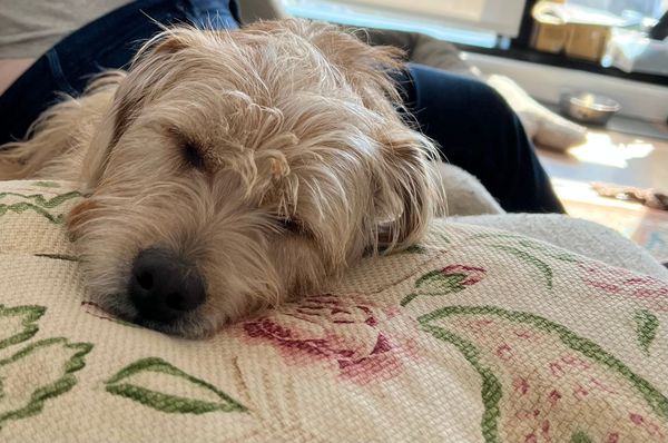 Recommended Reading: Talk of the Sound