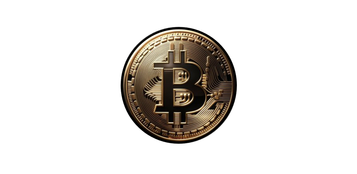 Bitcoin : Un point sur l'adoption  (36-3)