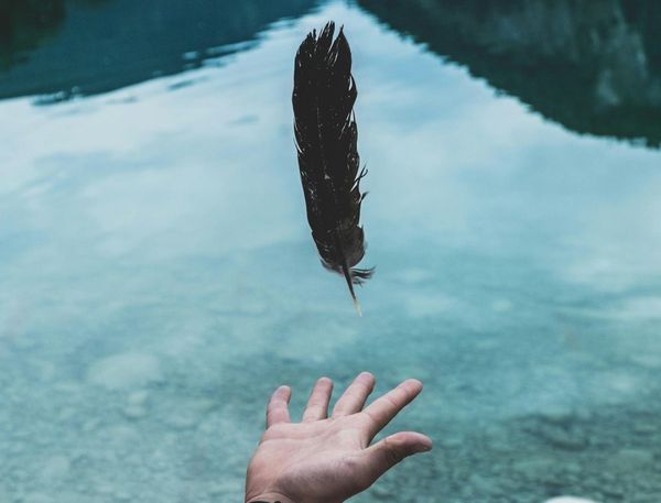 feather floating above someone's hand