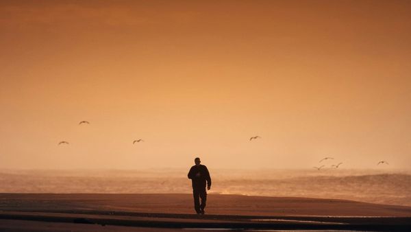 man walking on a beach on his own with seagulls in the background