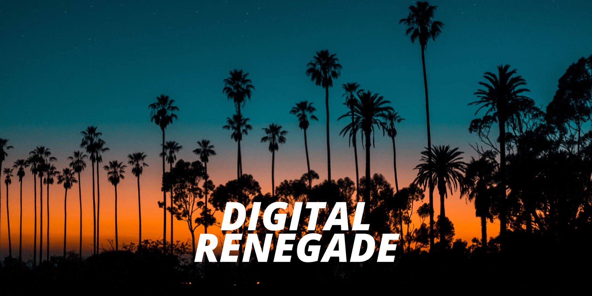 DIGITAL RENEGADE